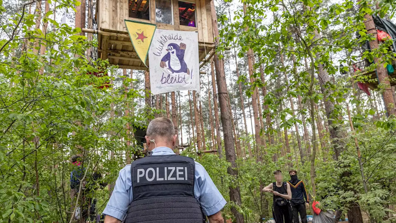 Wuhlheide: Baumbesetzer gegen Straßenneubau – Anwohner dafür