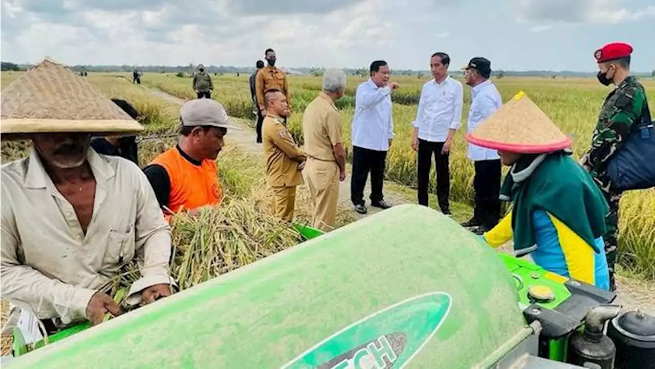 Petani Berkurang & Lahan Menyempit, 20 Tahun Lagi Makan Apa?