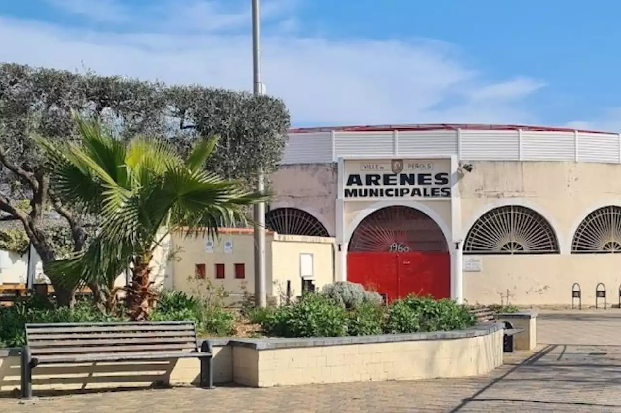 Tauromachie : pas de corrida près de Montpellier, la justice tranche en faveur des défenseurs de la cause animale