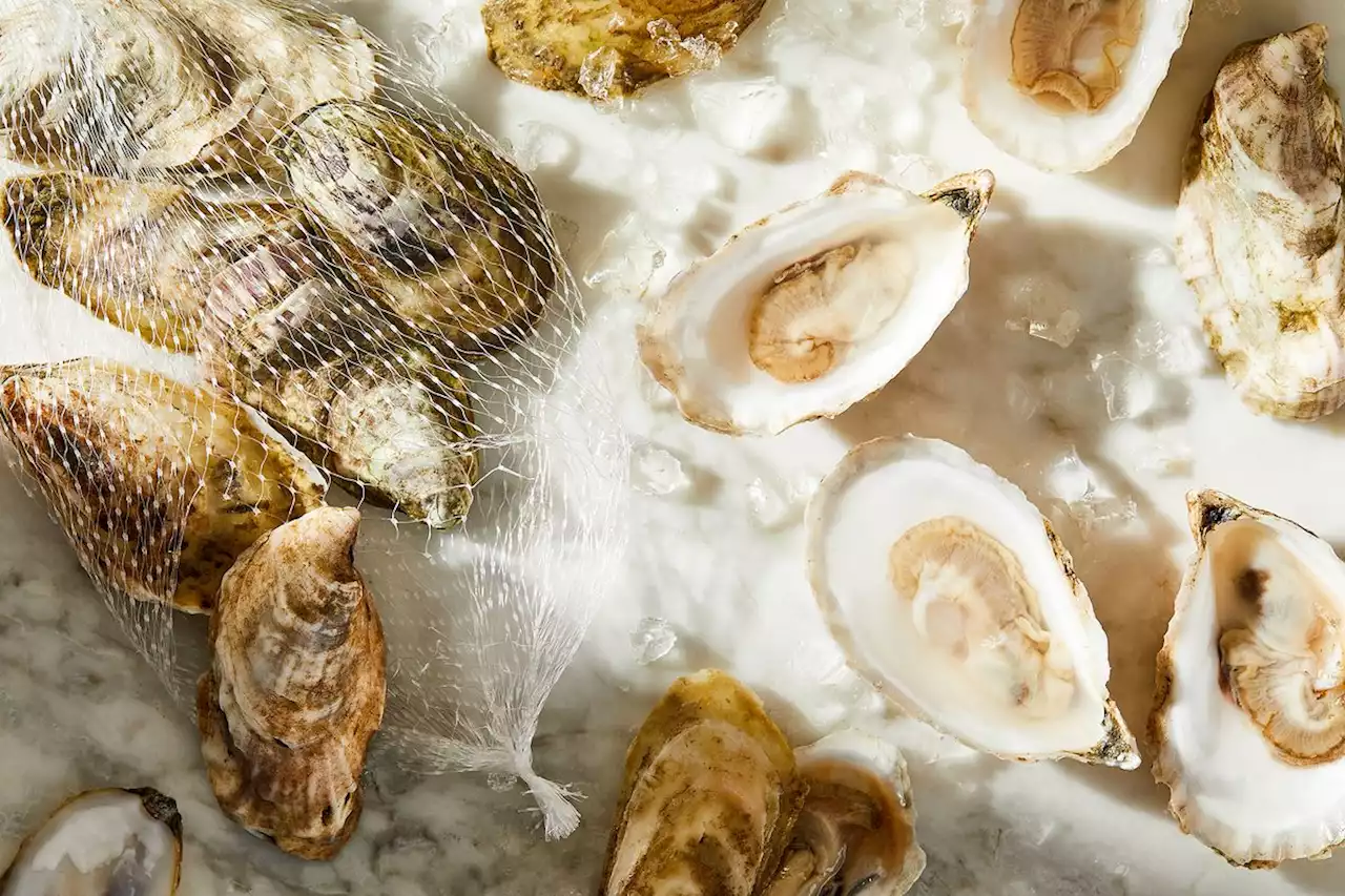 The Best Oysters You Can Buy Are Probably Online