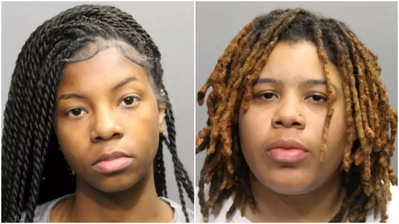 Women charged in violent robbery in downtown Chicago