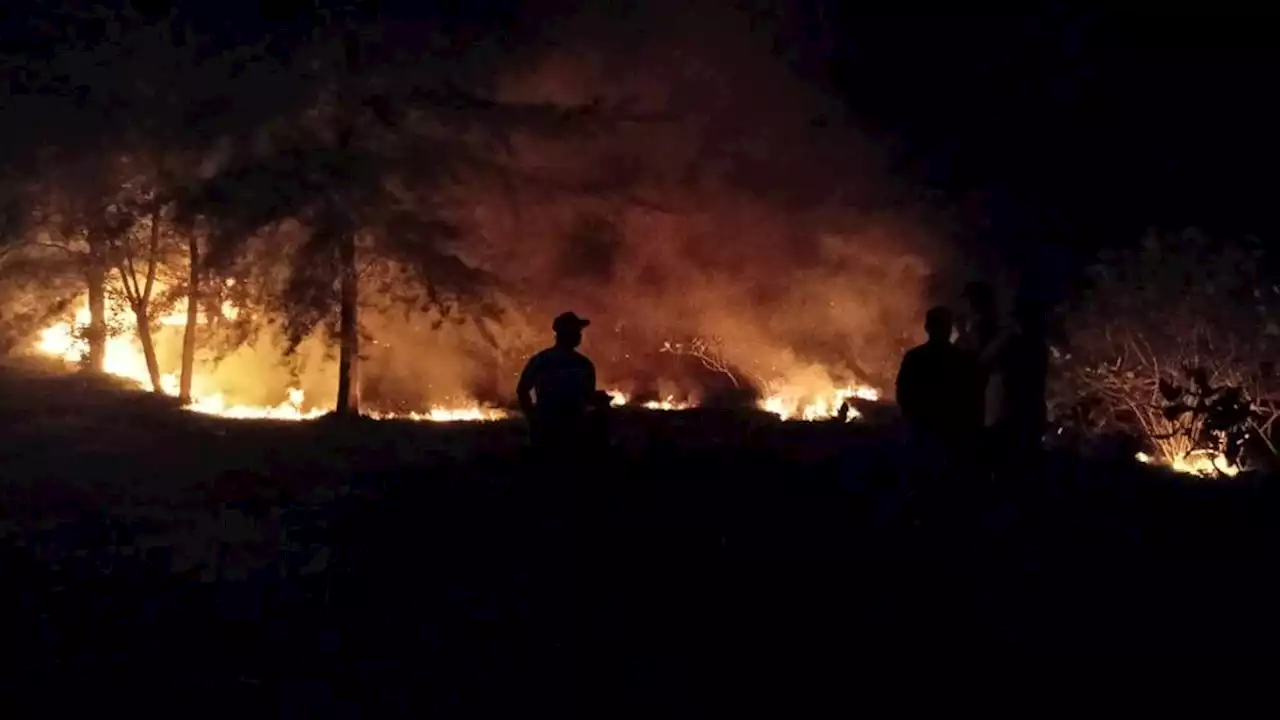 Cuaca Panas, Kebakaran Lahan Mulai Terjadi di Aceh