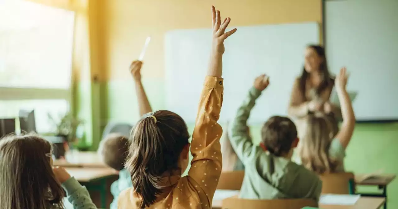 Irish primary children excel in international reading tests
