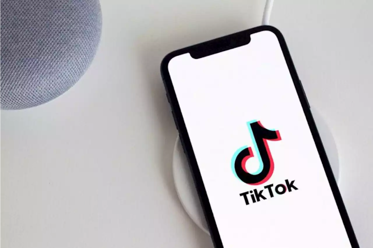 TikTok Menghadirkan Mesin Pencari Layaknya Google