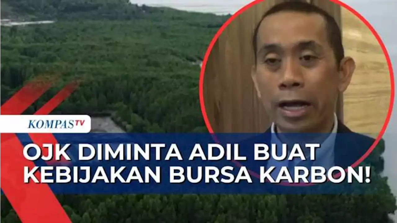 Buat Ekosistem Bursa Karbon, OJK Diminta Adil pada Pelaku Usaha & Ikuti Amanat UU!