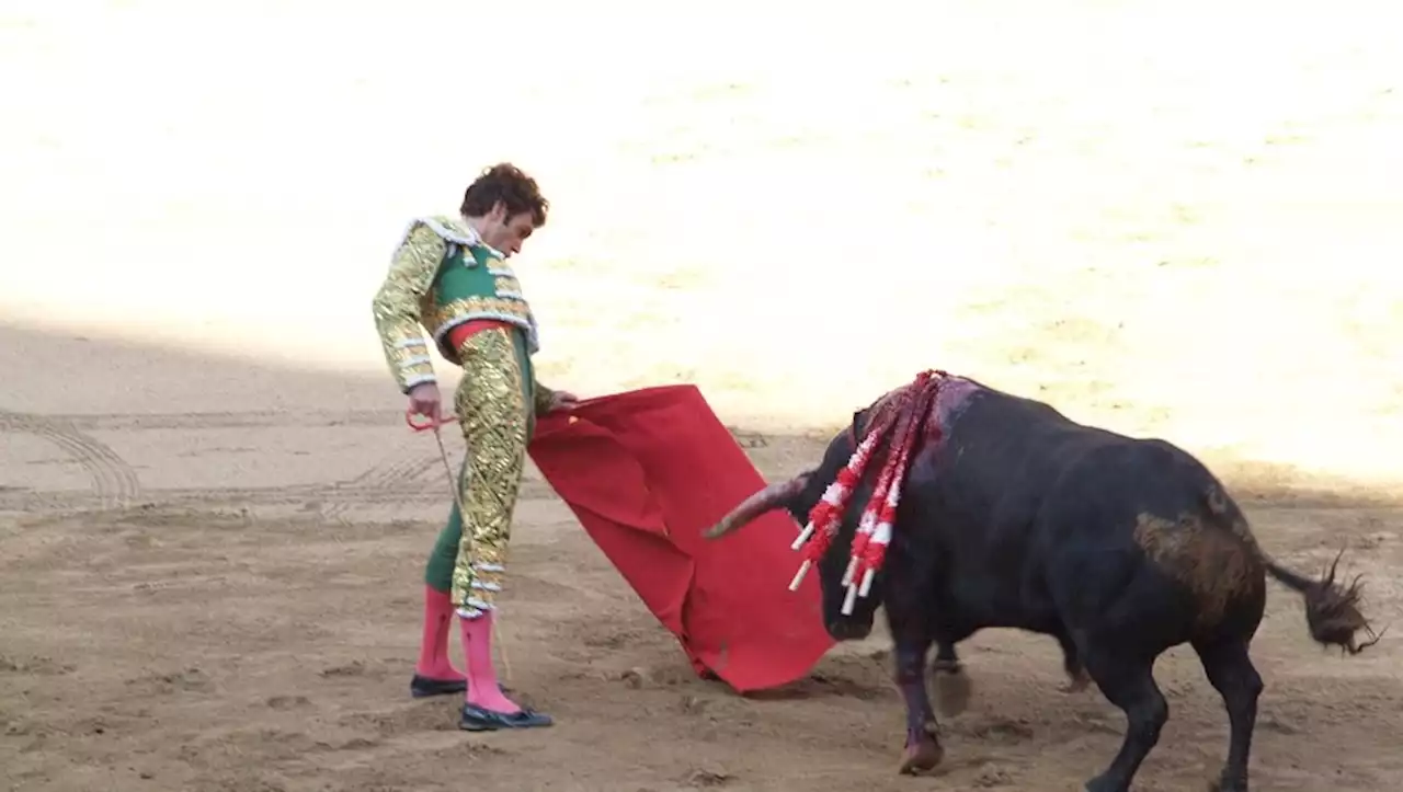 Tauromachie : la justice met un coup d'arrêt au retour de la corrida près de Montpellier