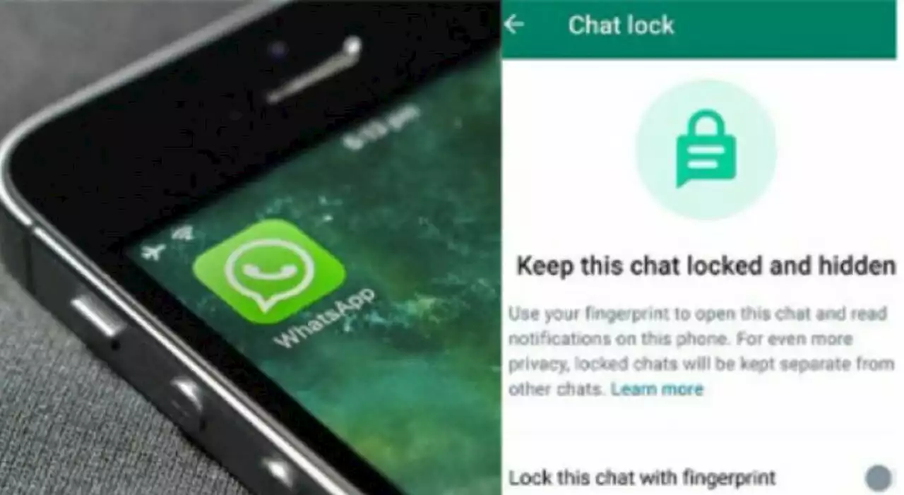 Whatsapp, arriva 'Chat lock' per nascondere i messaggi. Come funziona: password, niente notifiche e impronta