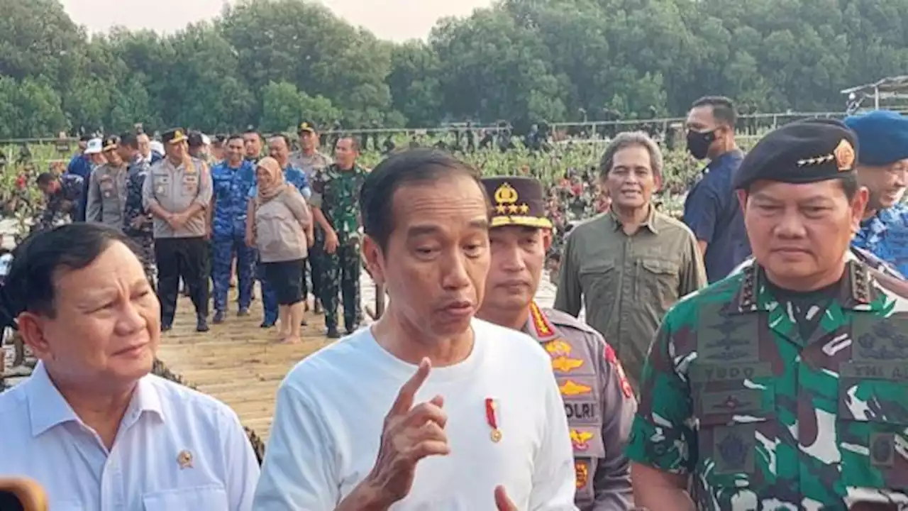 Permasalahan KKB, Presiden Jokowi: Situasi Lapangan Tak Semudah Di Jakarta