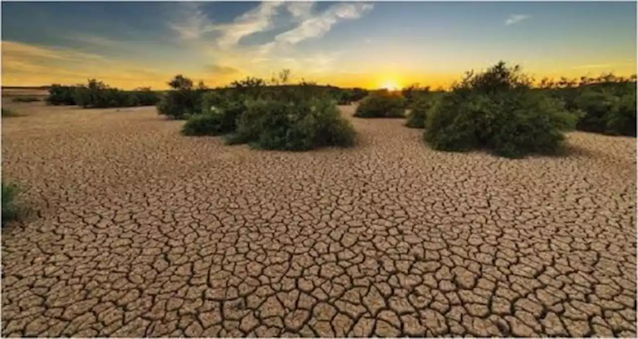 Teknologi Yandex Bisa Prediksi El Nino