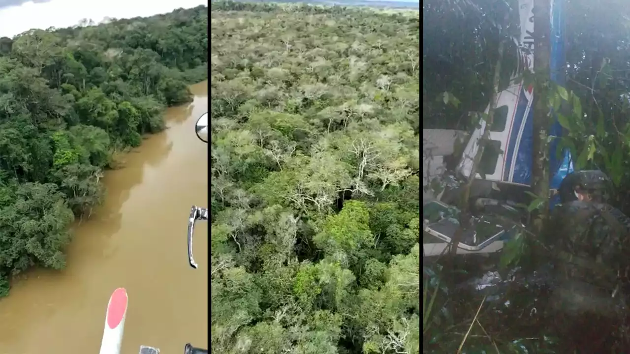 VIDEO. Así es la difícil selva donde buscan a los desaparecidos de la avioneta