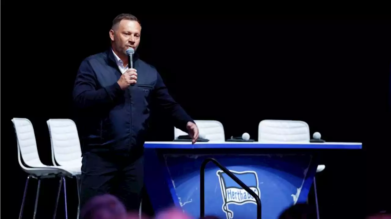 Dardai: Noch keine Job-Entscheidung