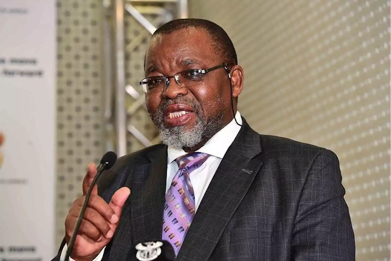 Mantashe announces plans to buy 5,000MW of renewable energy