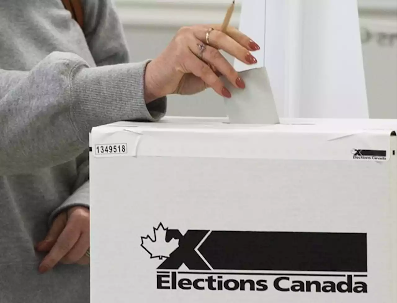 June byelections will be monitored for foreign interference, government says | National Newswatch