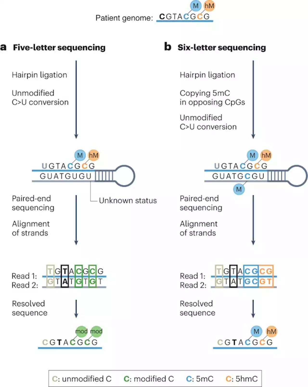 Speed reading the epigenome and genome - Nature Biotechnology