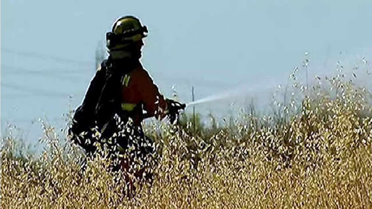 Brush Fire Burns Nearly 130 Acres Near Mecca in Riverside County