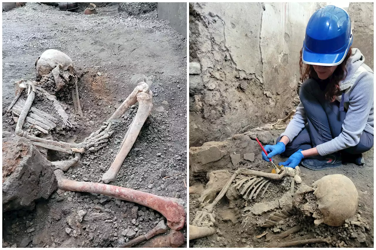 Newly discovered Pompeii victims found crushed to death in utility room