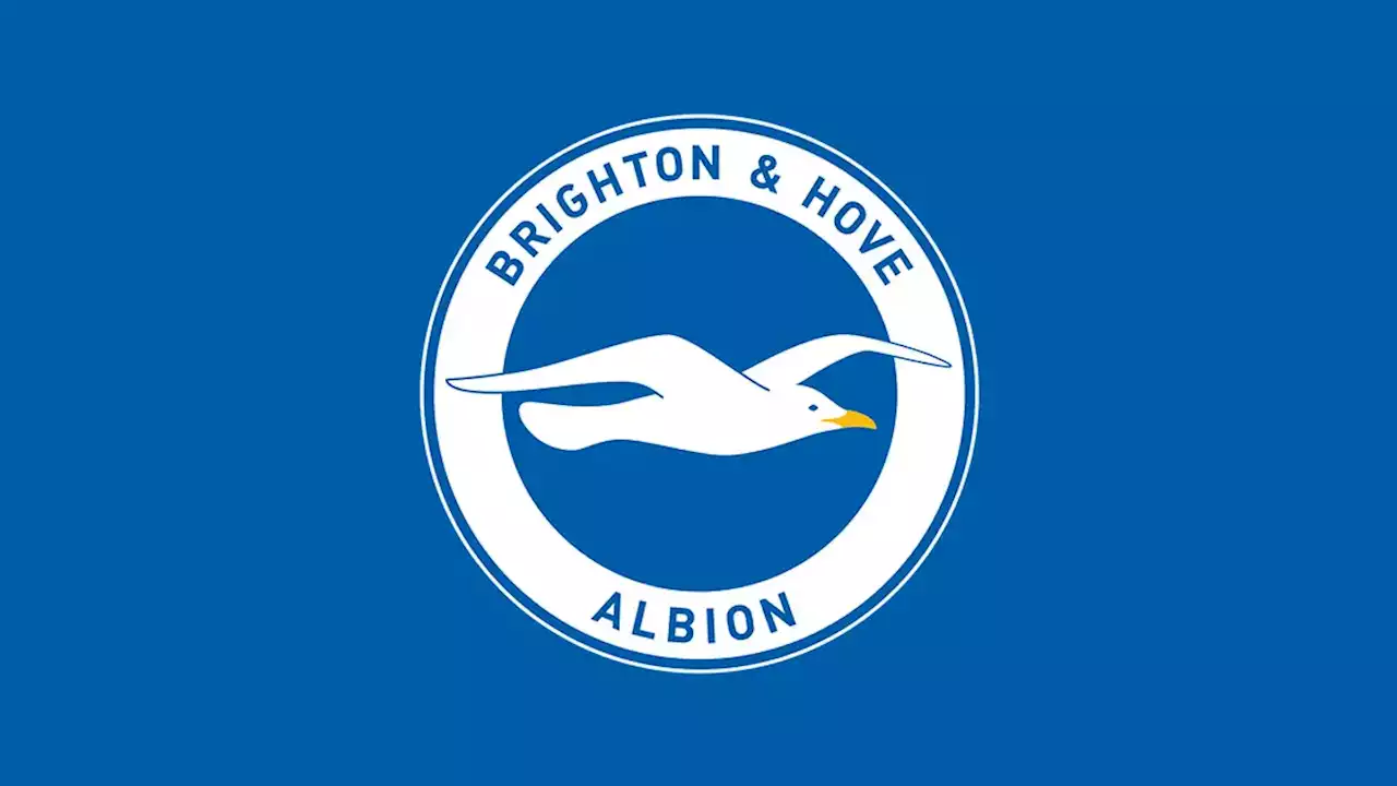 Brighton faced with significant injury list ahead of Newcastle United challenge