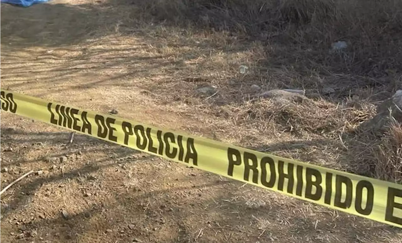 Guanajuato: asesinato en Llanos de Santa Ana se reportó a la policía por comités vecinales