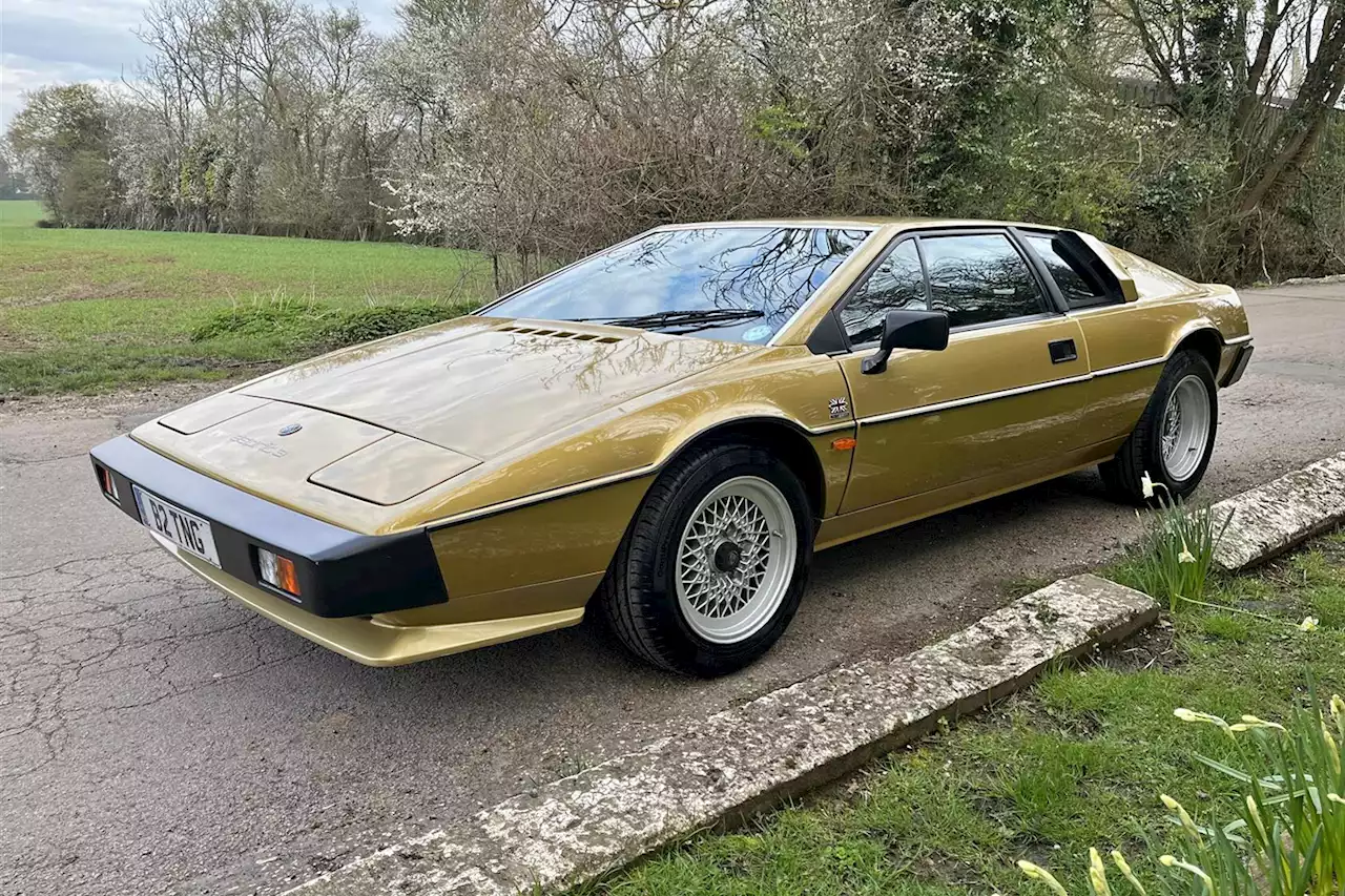 Lotus Esprit S3 | Spotted