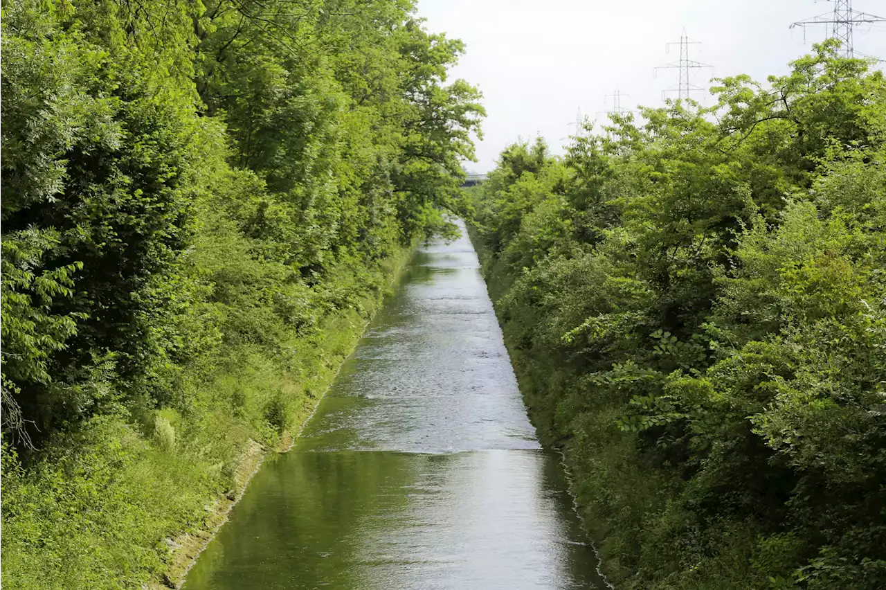 Kanton Solothurn finanziert Hochwasserschutzprojekt - Schweizer Bauer