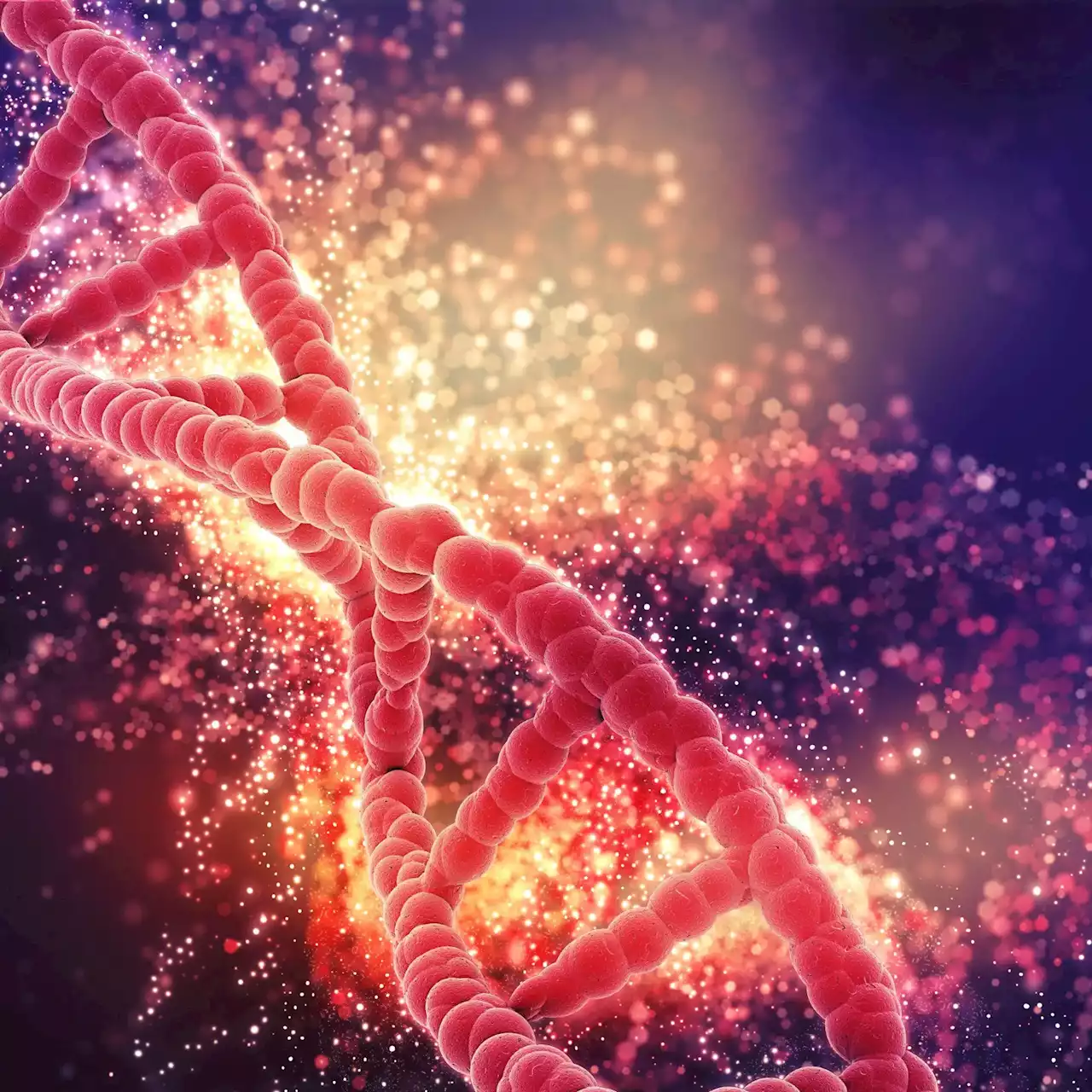 USC Researchers Zoom Into the Human Genome With Unprecedented Resolution