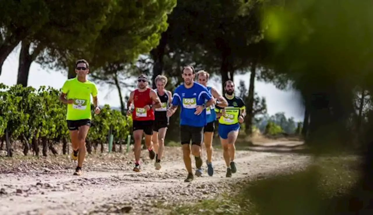 Ribera Run Experience 2023, la carrera que une correr y l...