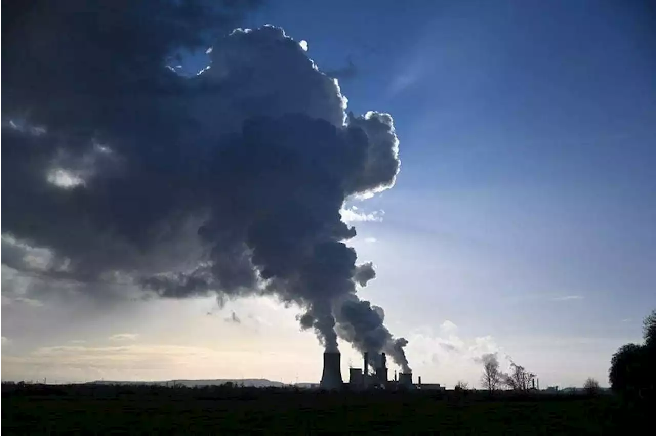 EU’s carbon emissions fall in climate boost even as economy grows