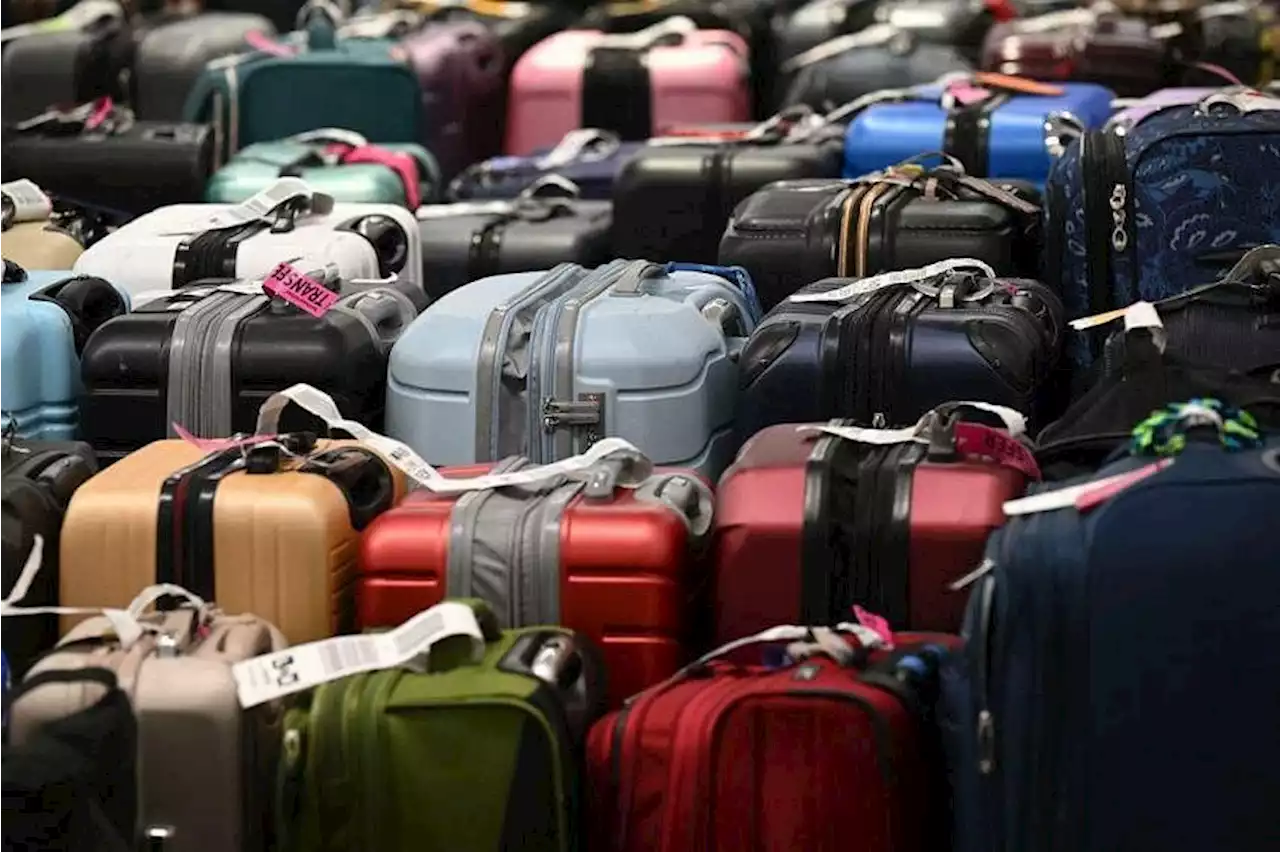 Mishandling of luggage soars as air travel rebounds, study shows