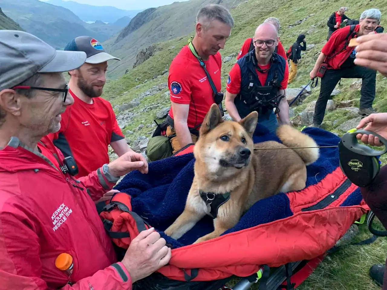 Un chien sauvé après avoir escaladé la plus haute montagne d’Angleterre