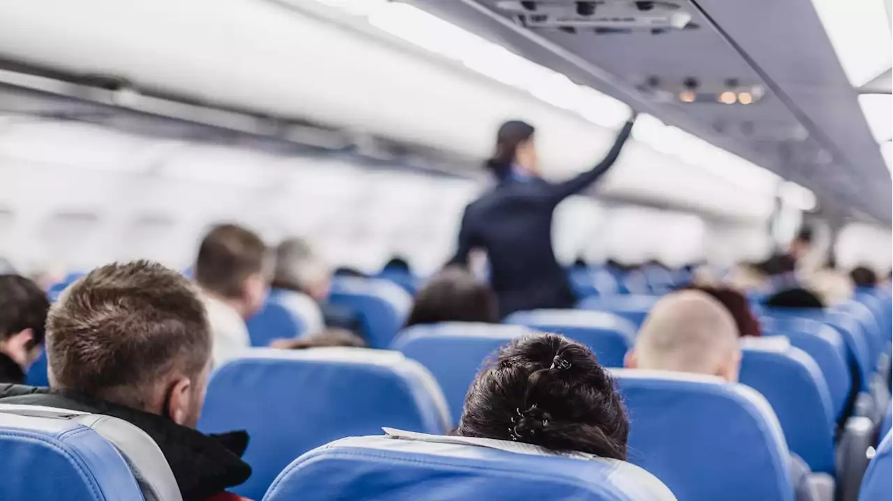 Erst Tomatensaft-Service, dann Klo putzen?: Bei „Scandinavian Airlines“ sollen Flugbegleiter nun die Toiletten-Kabinen reinigen