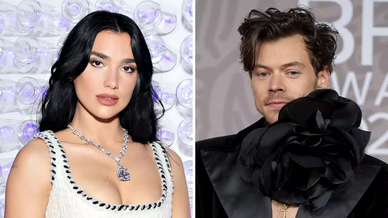 Harry Styles and Dua Lipa Have Matching Bags Now