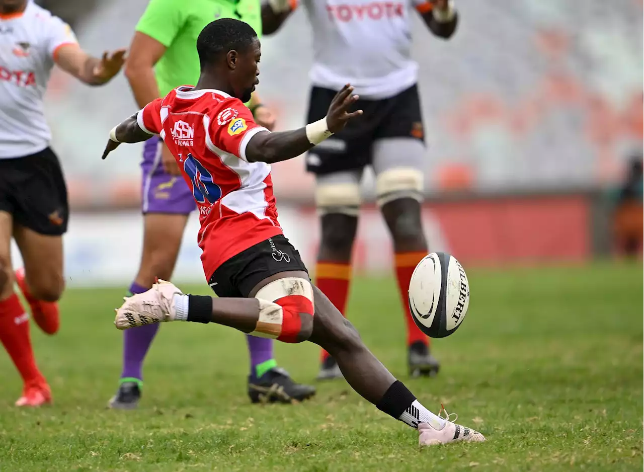 Lions targeting late charge for Currie Cup playoffs | The Citizen