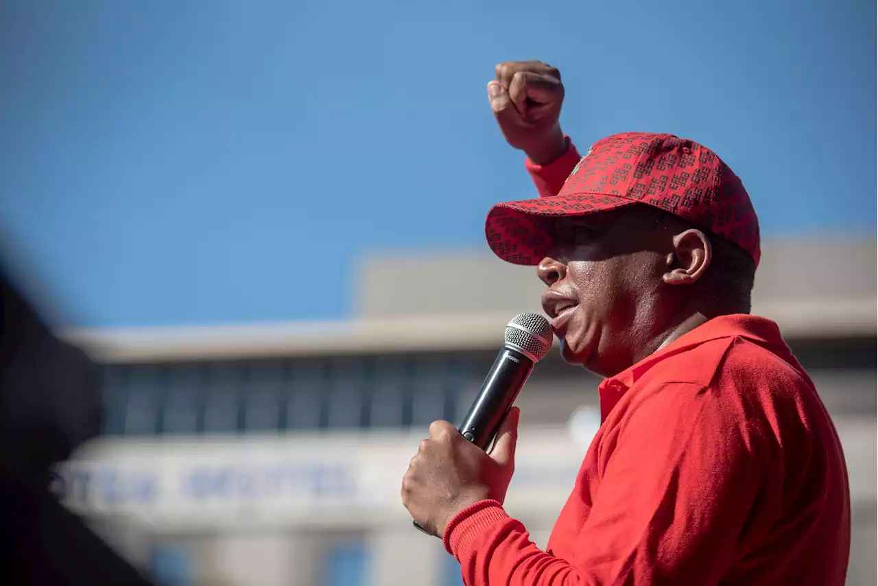 'We don’t owe our allegiance to anyone,' says Malema on EFF-ANC 'coalition' | The Citizen