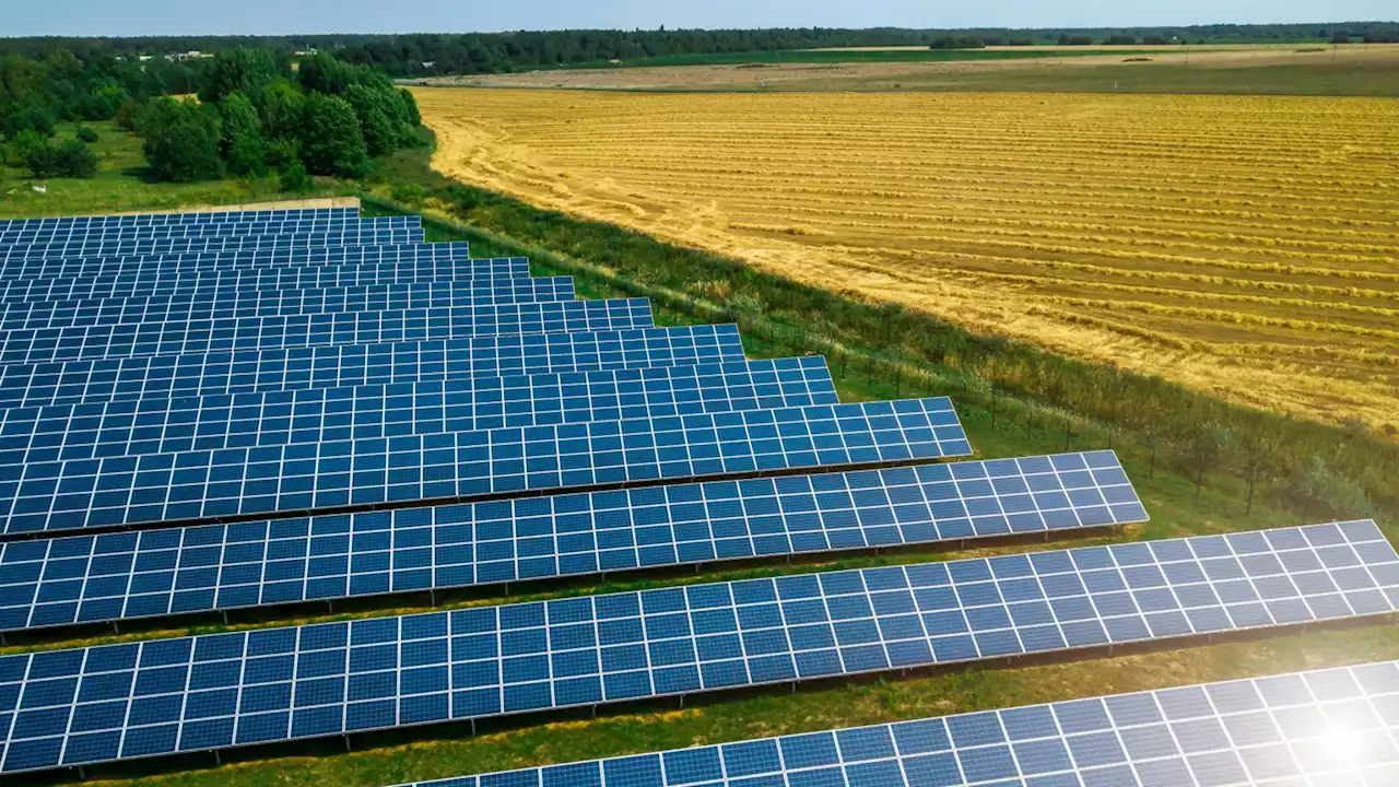 Environmentalists raise safety concerns over Lincolnshire solar farm