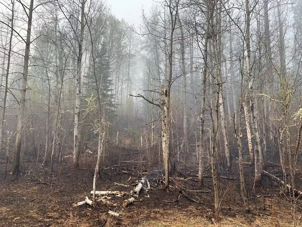 Alberta Wildfires: Hot, dry conditions contributing to 'extremely volatile' situation