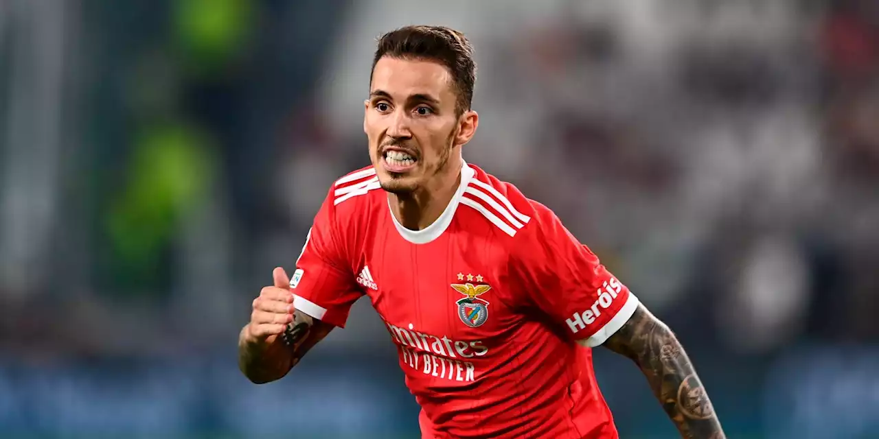 Grimaldo-Bayer Leverkusen, “Benfica spiazzato dall’annuncio”