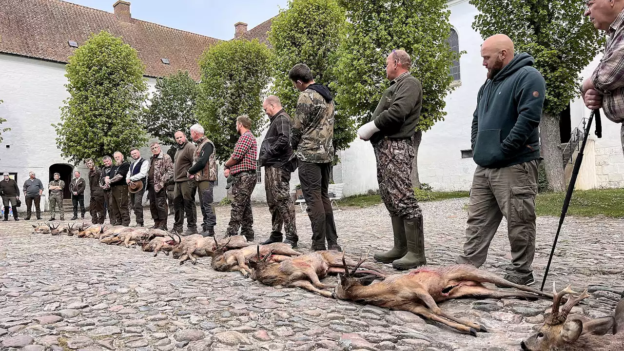 Niels sad klar i jagttårnet fra klokken 05: - Det er en dag, de fleste jægere ser frem til