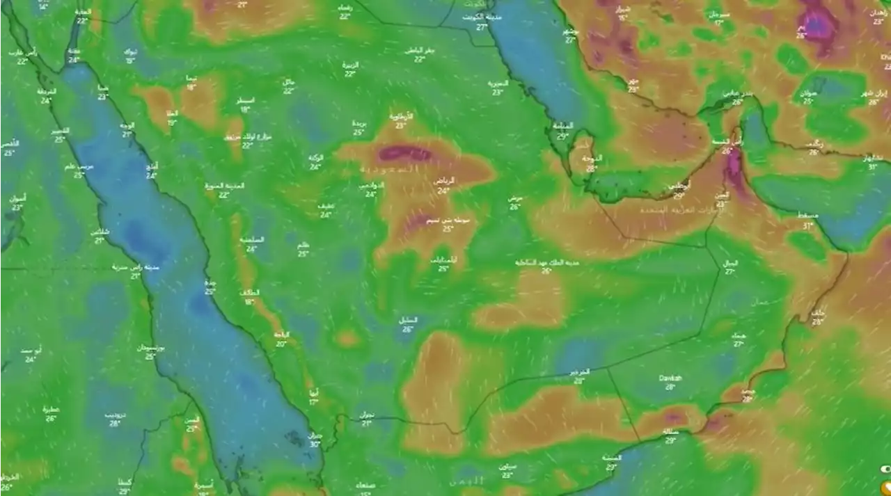 منها الرياض.. خبير طقس يُحذر من أمطار ورياح نشطة على 7 مناطق -