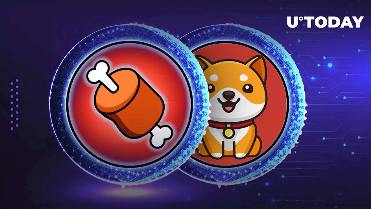 Shiba Inu’s BONE and BabyDoge Tokens Score Major Listing