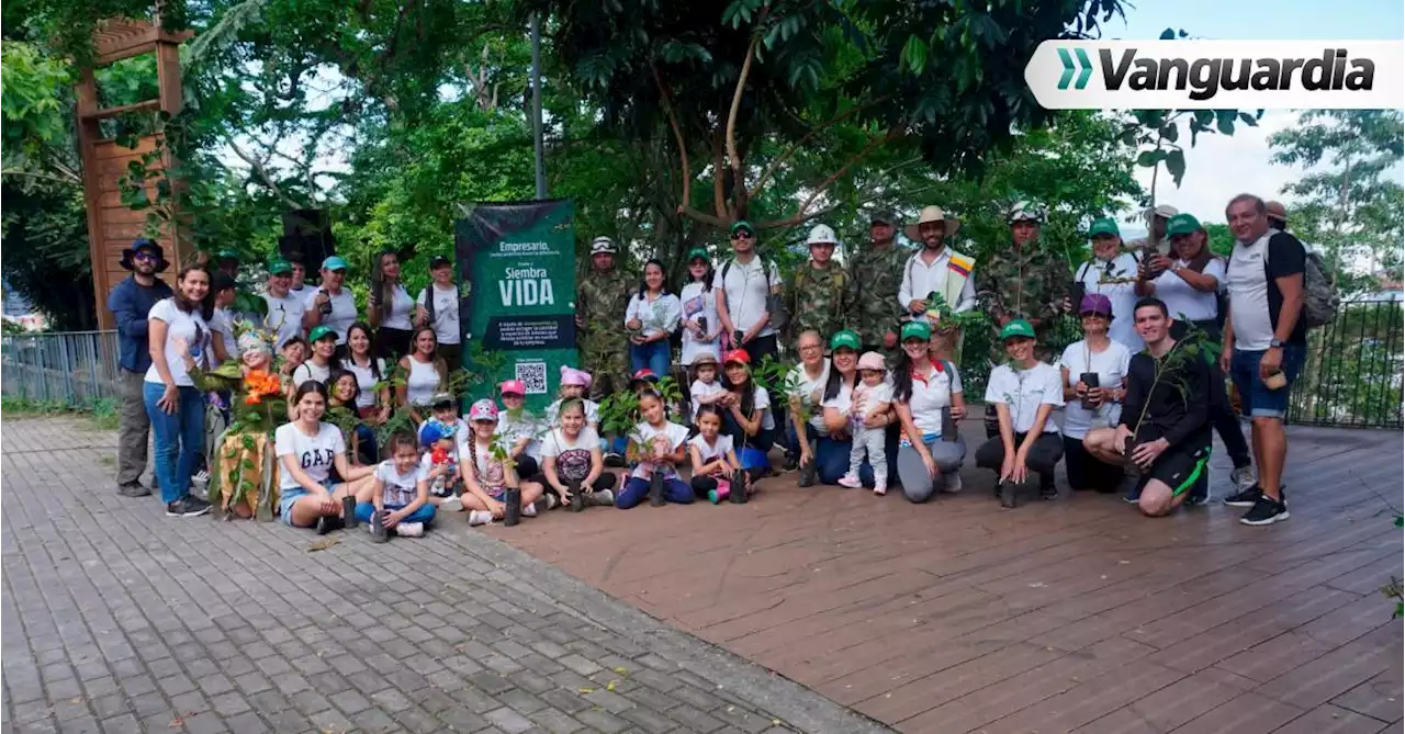 “Siembra Vida”, estrategia que une a los empresarios en pro de la reforestación de Bucaramanga