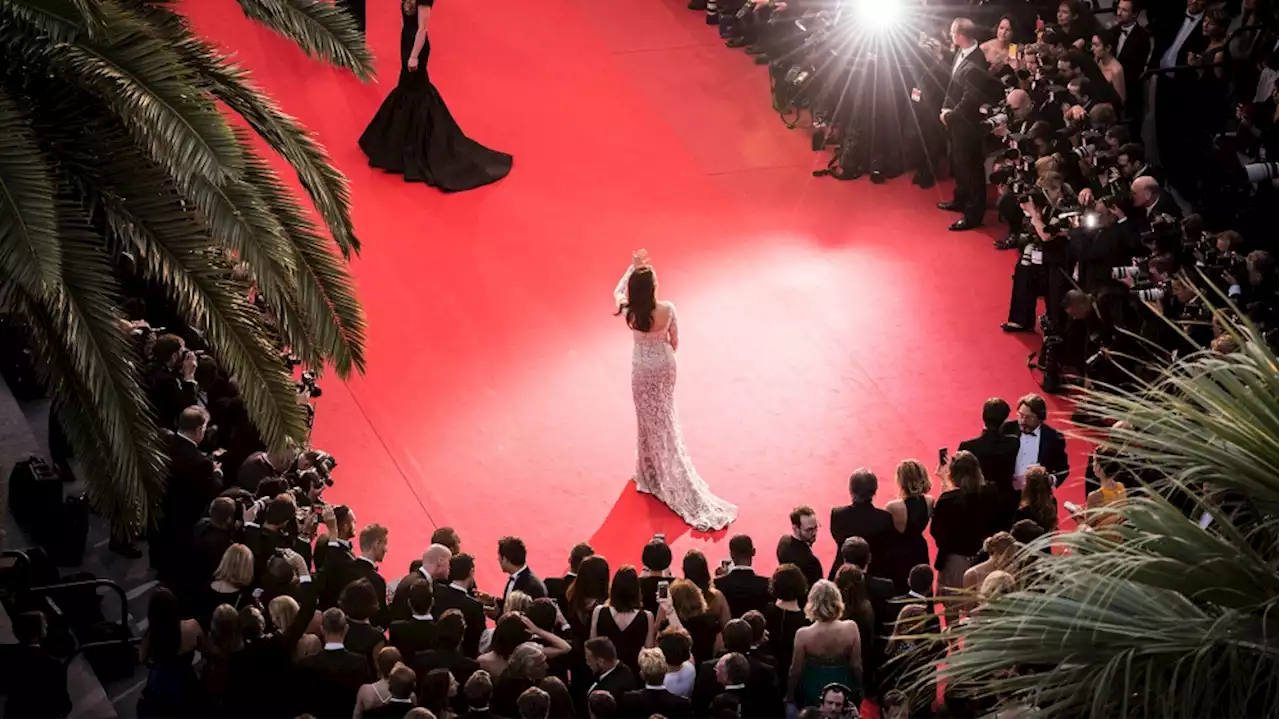 Cannes Film Festival