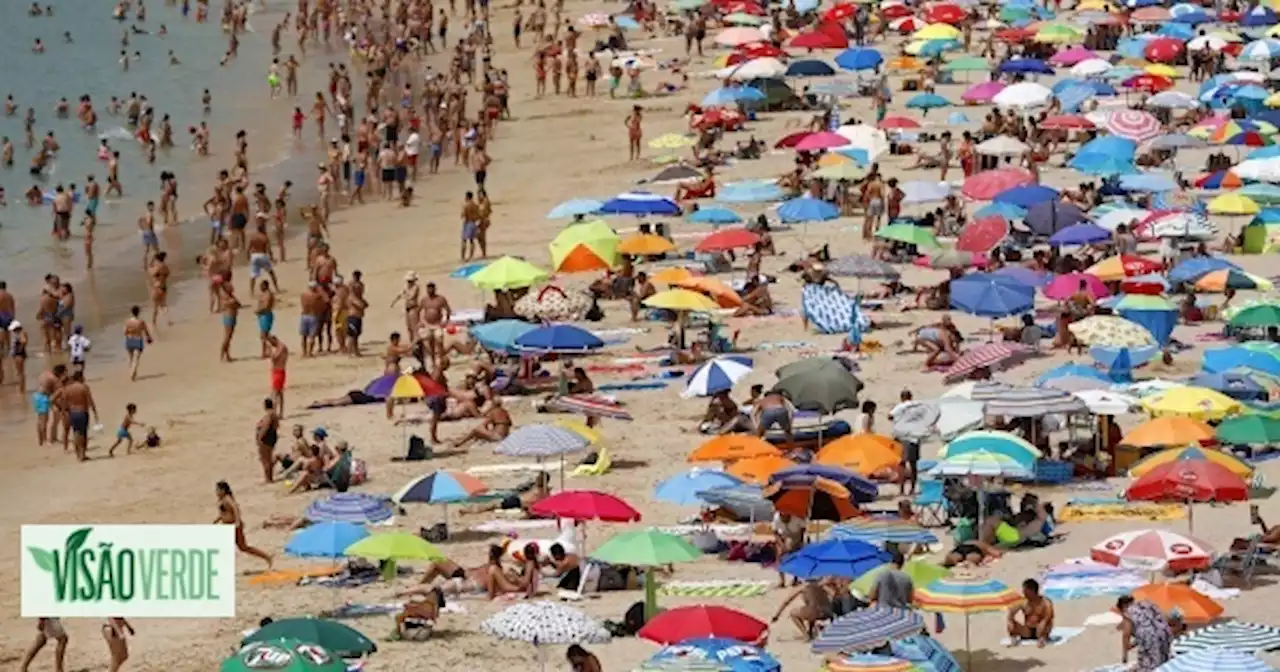 Visão | Quercus atribui 'Qualidade de Ouro' a 393 praias portuguesas