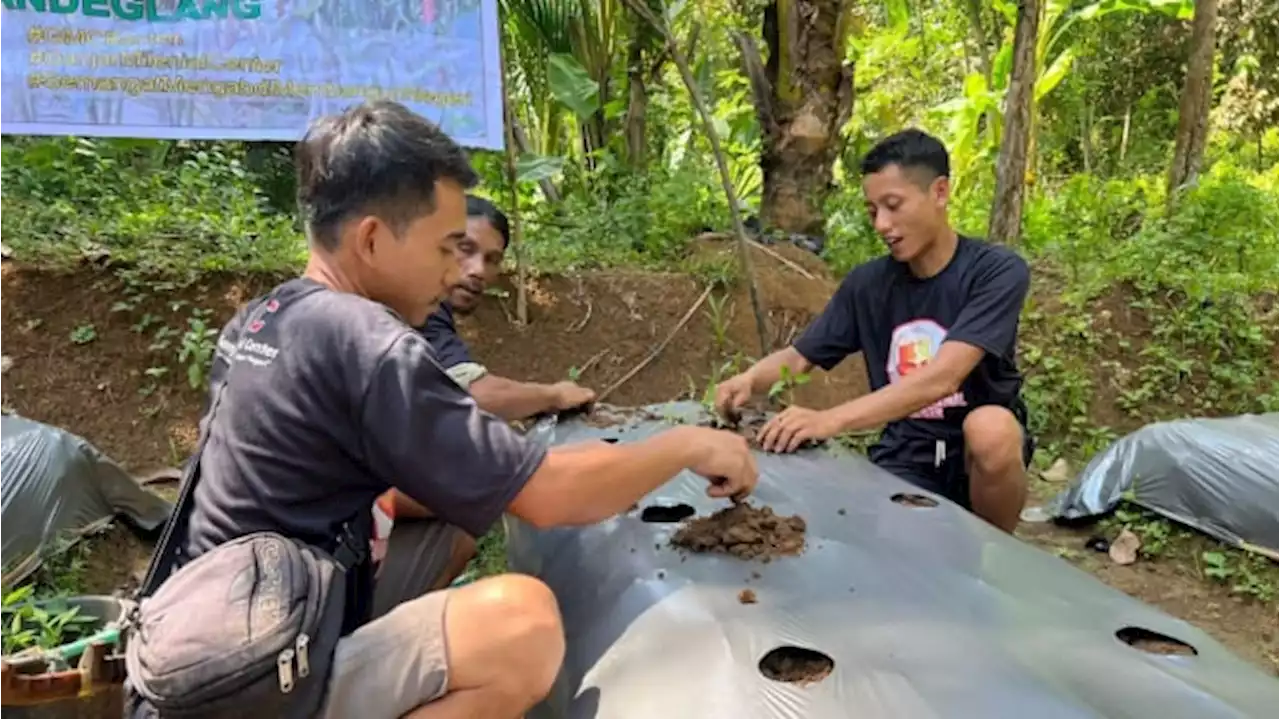 Tingkatkan Keahlian, Milenial Banten Manfaatkan Lahan Kosong Dengan Tanam Cabai