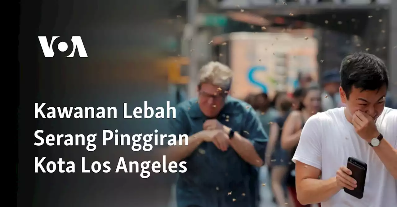 Kawanan Lebah Serang Pinggiran Kota Los Angeles