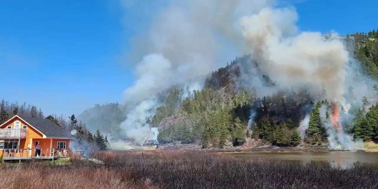 Charges Laid in Separate Conception Bay Forest Fire Investigations