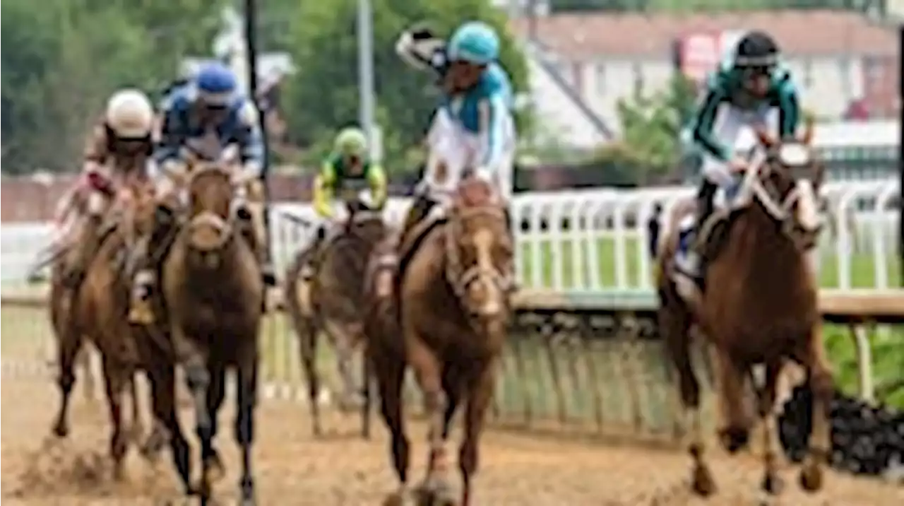 Analysis | Odds, post positions and analysis for the 2023 Preakness Stakes