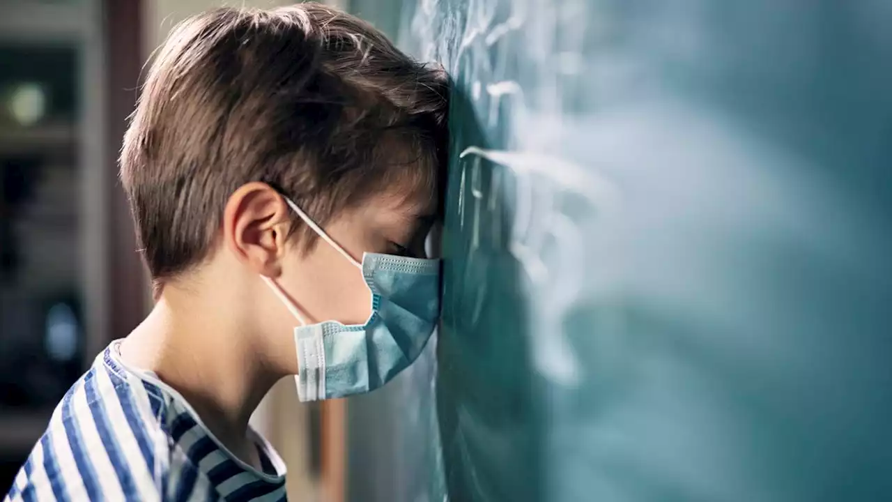 'Devastating': Pandemic learning loss needs urgent attention in U.S., national survey finds