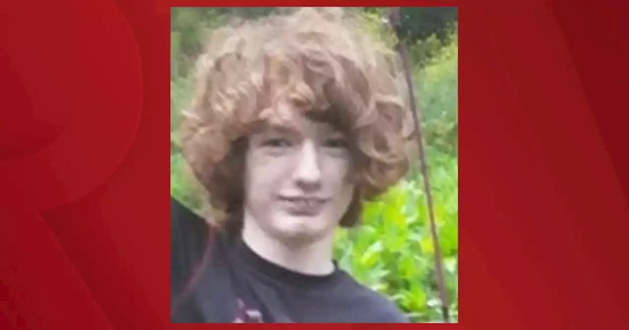 Statewide Silver Alert issued for missing Bluffton teenager