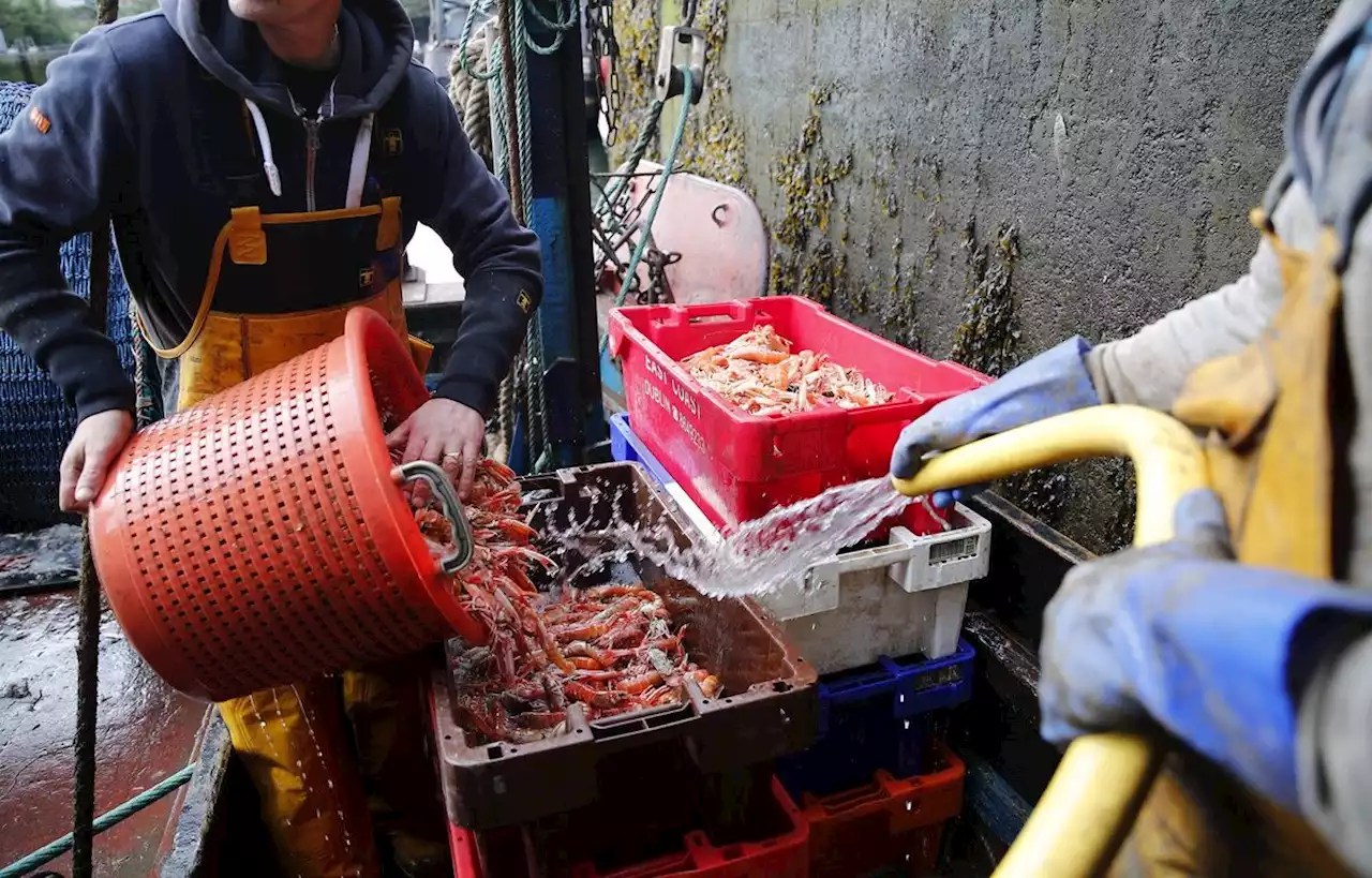 Plus de 30 disparus après le naufrage d’un navire de pêche chinois