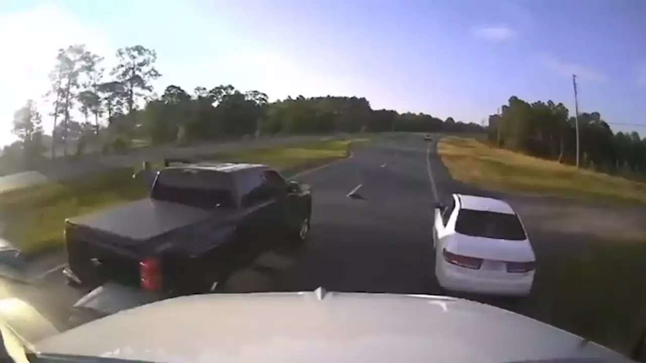 Florida man stops truck in fast lane of busy highway to help turtle cross the road